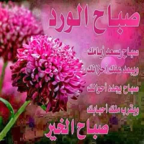 صباح ومساء الخير متحركة 2019
‎ скриншот 4