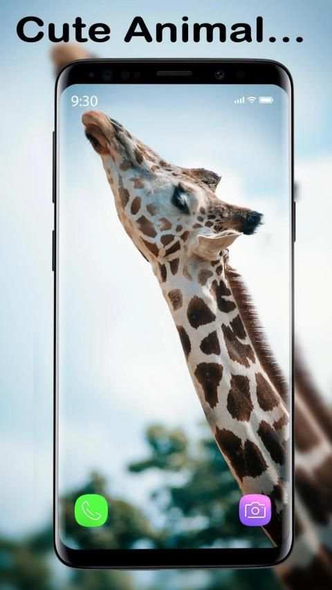 Cute Animal APUS Live Wallpaper screenshot 15