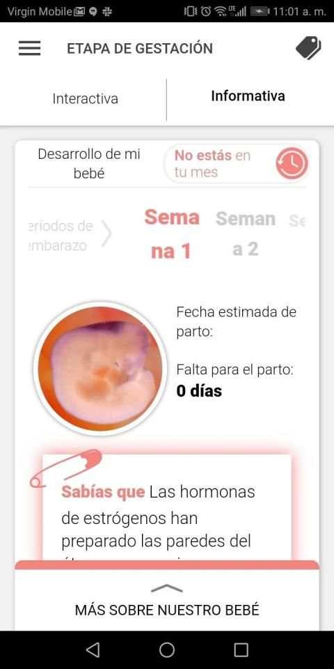 Padre desde el principio screenshot 4