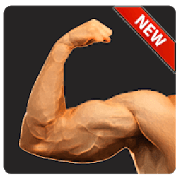 ikon Arm Workout - Biceps Exercise