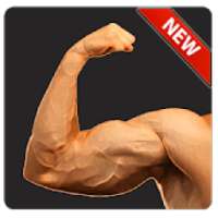 Arm Workout - Biceps Exercise on 9Apps