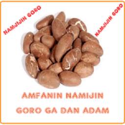 Amfanin Namijin Goro