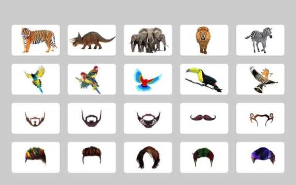 Animal Camera - HD Animal Photo Editor Frames 2018 screenshot 7