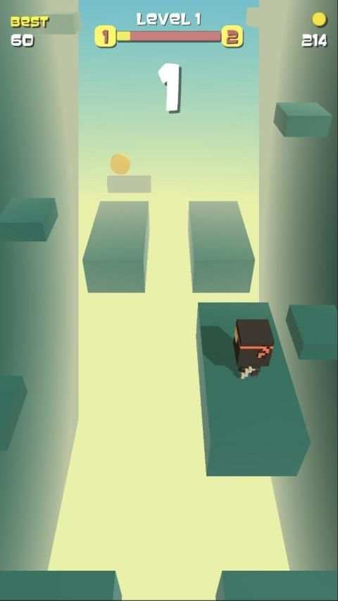 Ninja Flip screenshot 1