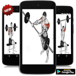 ikon * Learn To Build Muscle *