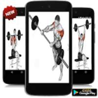 * Learn To Build Muscle *