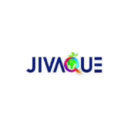 Jivaque