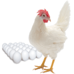 Layer Bird Farm Performance आइकन