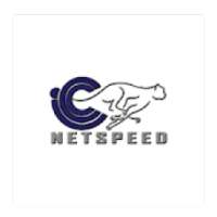 Icc Netspeed