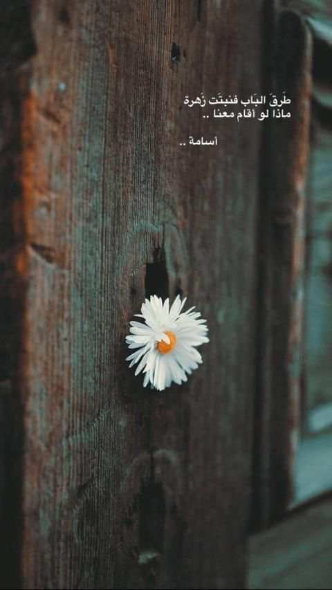 اقتباسات سنابات | سناب شات المشاهير 2019 بدون نت
‎ screenshot 7