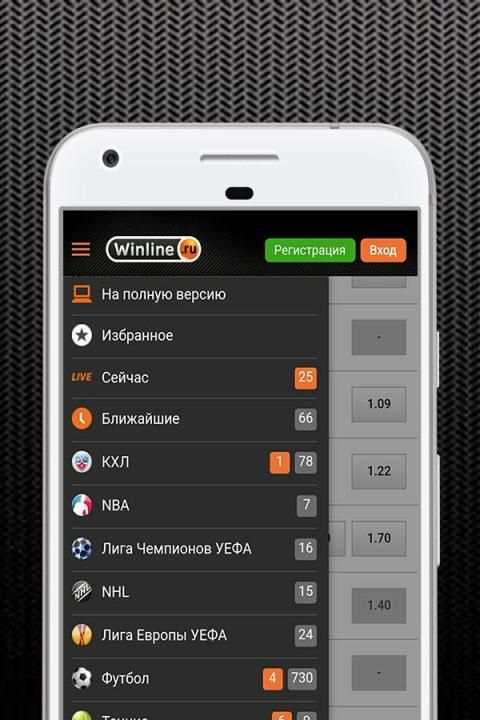 Винлайн screenshot 1