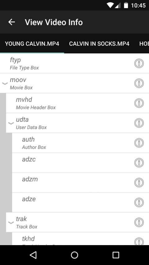 Video Info Viewer screenshot 10