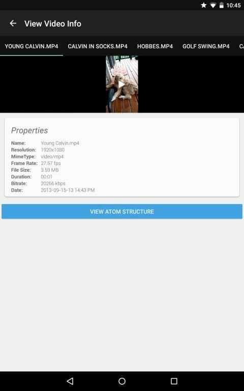 Video Info Viewer screenshot 3