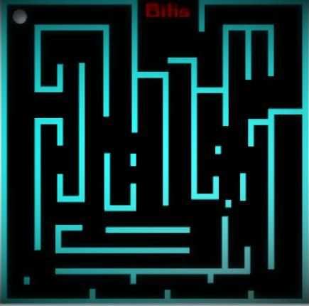 Expert Maze screenshot 2