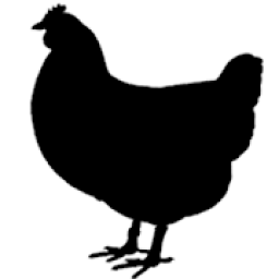 Egglets-Game आइकन