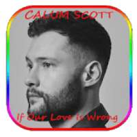 Calum Scott If Our Love Is Wrong lyrics on 9Apps