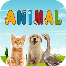 ikon Animals for Kids, Animal Sound &amp; Connect Animal