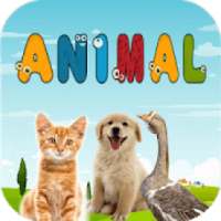 Animals for Kids, Animal Sound & Connect Animal