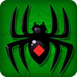 Spider - Solitaire Master