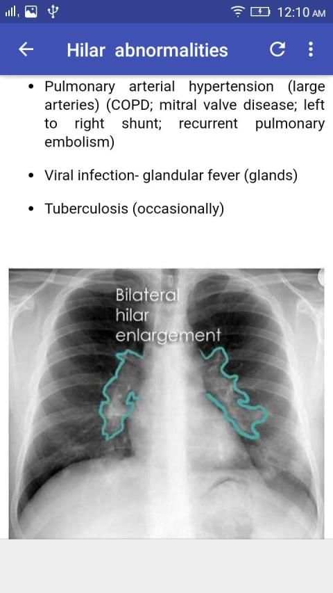 X-Ray Interpretation screenshot 9