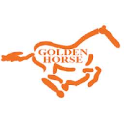 الحصان الذهبى
‎
