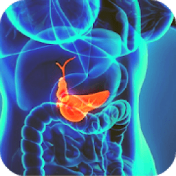 ikon abdominal ultrasound of gallbladder