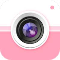 Camera Palette Pink - Analog Film Filters on 9Apps