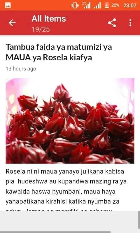 ufundi wa mahaba screenshot 4