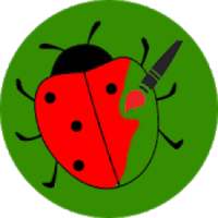 Ladybug (ladybird) paint app