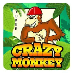 Gold Monkey icon