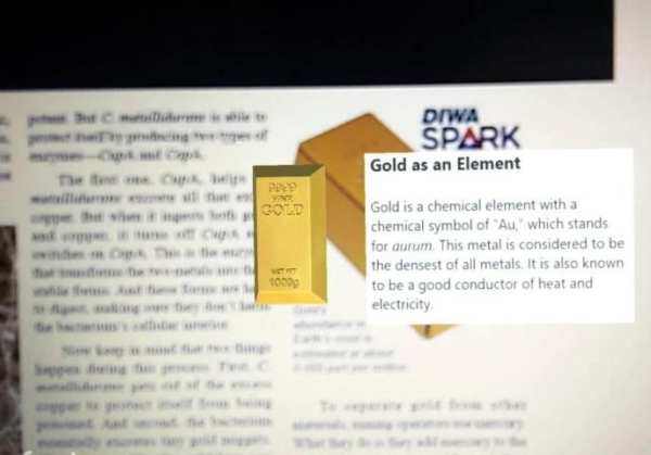 DIWA SPARK screenshot 5