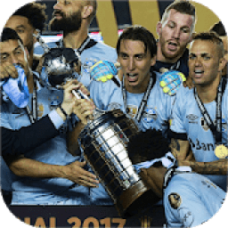 ikon ⚽️* COPA LIBERTADORES REAL FOOTBALL