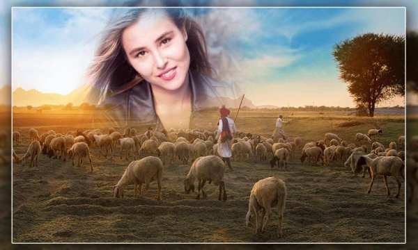 Village Photo Frames स्क्रीनशॉट 4