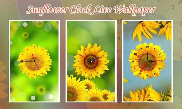 Sunflower Clock Live Wallpaper screenshot 2