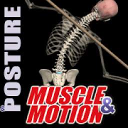 Posture by Muscle and Motion