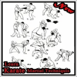 ikon Learn Karate Martial Techniquis