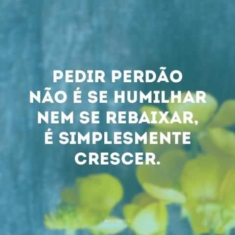 Frases de Perdão no Amor скриншот 4