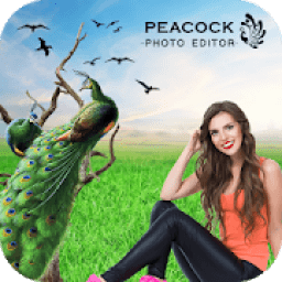 ikon Peacock Photo Editor : Peacock Photo Frames