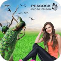 Peacock Photo Editor : Peacock Photo Frames on 9Apps