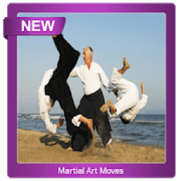 ikon Martial Art Moves