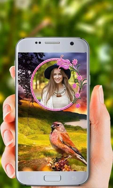 Birds Photo Frames HD screenshot 4
