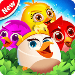 Bird Mania 2020 आइकन