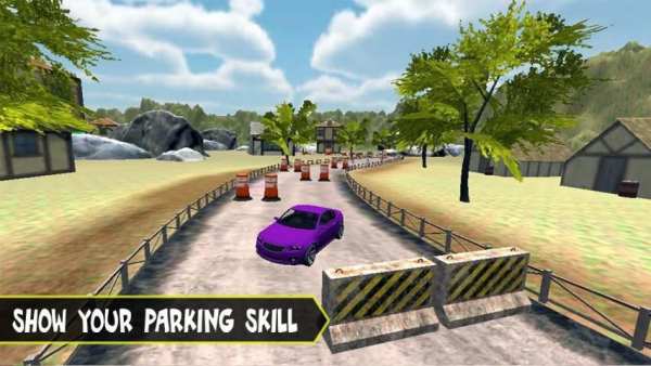 Village Car Parking 2019 स्क्रीनशॉट 5