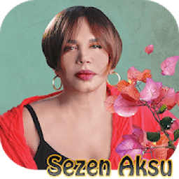Sezen Aksu - internet olmadan icon