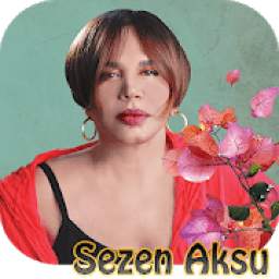 Sezen Aksu 1.1