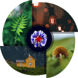 Wallpapers HD &amp; 4K Backgrounds आइकन