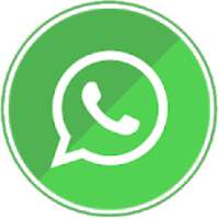 Direct Number To WhatsApp