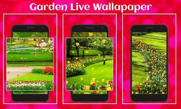 Garden Live Wallapaper screenshot 2