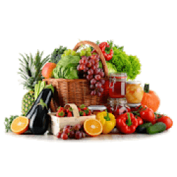 ikon Fat Burning Foods