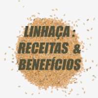 Linhaça : Receitas e Benefícios